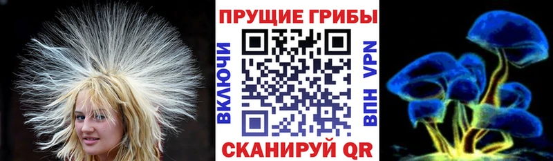 Галлюциногенные грибы GOLDEN TEACHER  Нея 